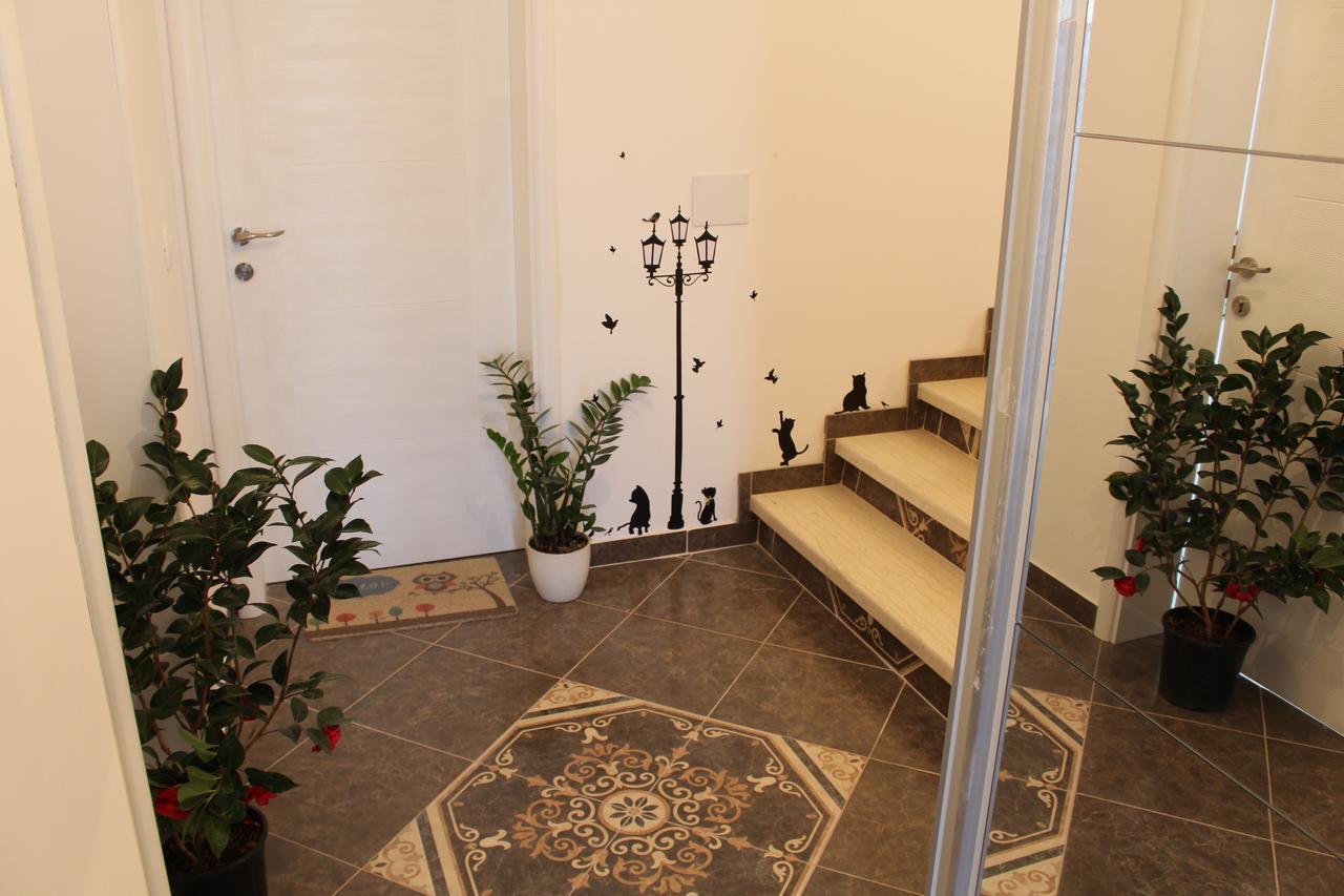 Vila Pogled バール エクステリア 写真