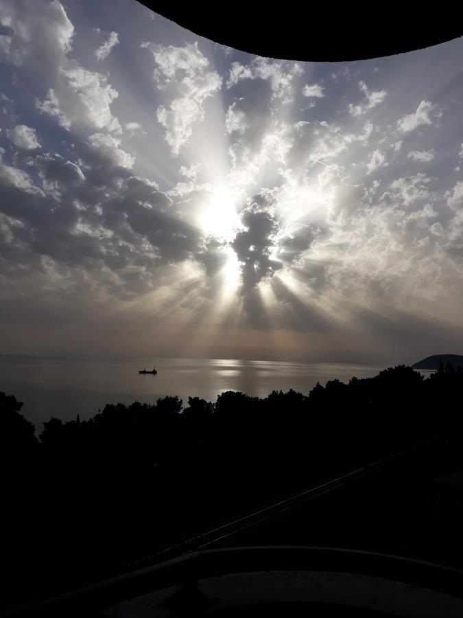 Vila Pogled バール エクステリア 写真