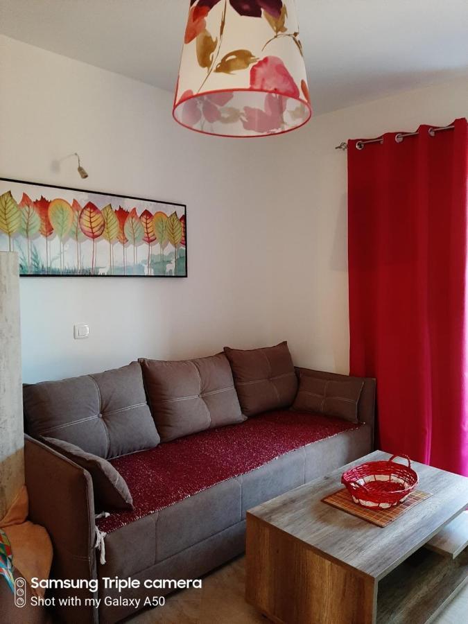 Vila Pogled バール エクステリア 写真