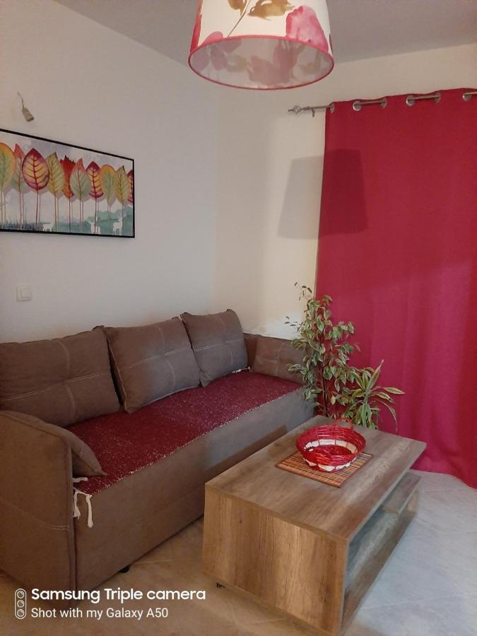 Vila Pogled バール エクステリア 写真